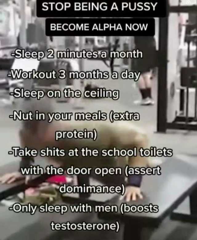 STOP BEING A PUSSY BECOME ALPHA NOw Sleep 2minutesta month Wonkout 3 months b day Sleep on the ceiling Nut in your meals (era protein) Take shits at the school toilets with the door open (assert domimance) Only sleep with men (boo