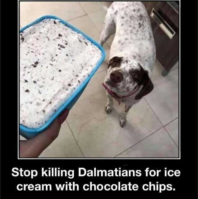 Stop killing Dalmatians for ice cream with chocolate chips.