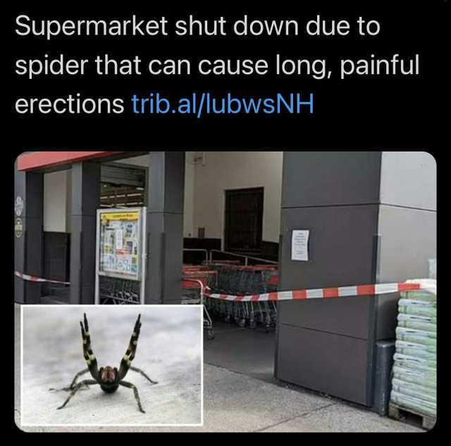 Supermarket shut down due to spider that can cause long painful erections trib.al/lubwsNH