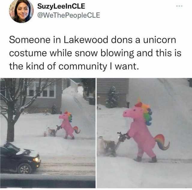 SuzyLeelnCLE @WeThePeopleCLE Someone in Lakewood dons a unicorn costume while snow blowing and this is the kind of community I want.