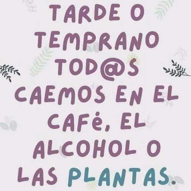 TARDE OO TEMPRANO TOD@S CAEMOS EN EL CAFé EL ALCOHOL O LAS PLANTAS.