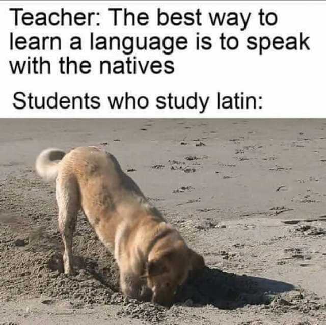Teacher The best way to learn a language is to speak with the natives Students who study latin