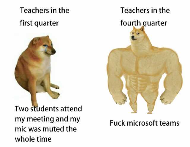 Teachers in the Teachers in the first quarter fourth quarter Two students attend my meeting and my Fuck microsoft teams mic was muted the whole time