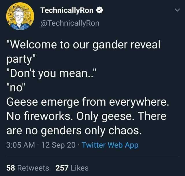 TechnicallyRon O @TechnicallyRon Welcome to our gander reveal party Dont you mean.. no Geese emerge from everywhere. No fireworks. Only geese. There are no genders only chaos. 305 AM · 12 Sep 20 · Twitter Web App 58 Retweets 257