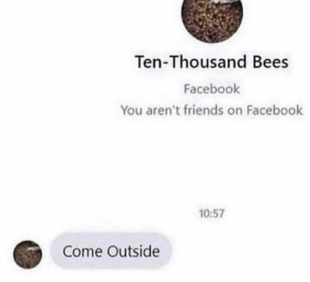 Ten-Thousand Bees Facebook You arent friends on Facebook Come Outside 1057