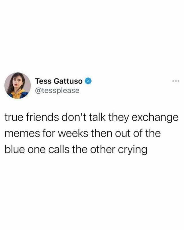 Tess Gattuso @tessplease true friends dont talk they exchange memes for weeks then out of the blue one calls the other crying