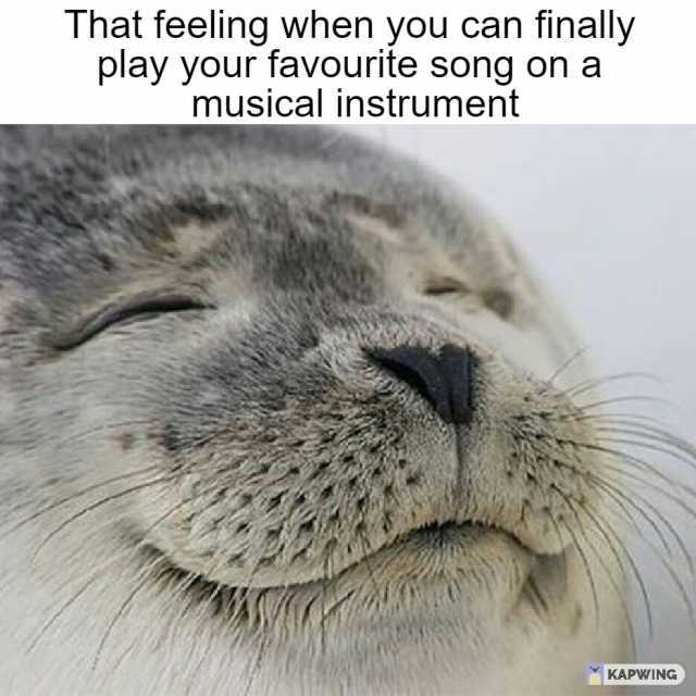 That feeling when you can finally play your favourite song on a musical instrument KAPWING