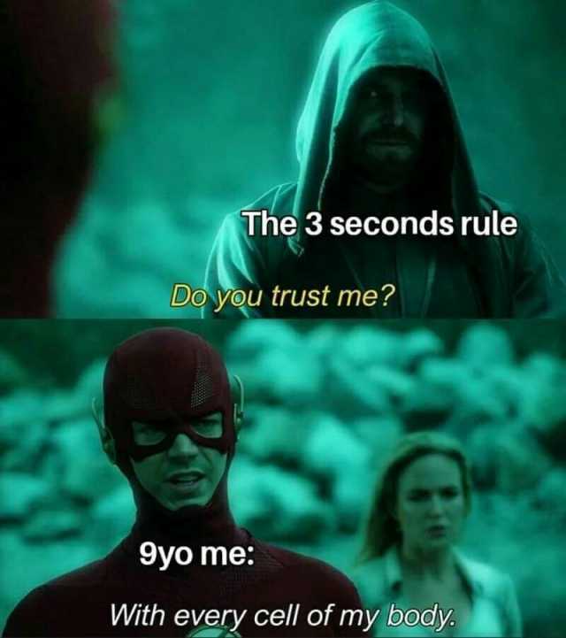 The 3 seconds rule Do you trust me 9yo me With every cell of my body