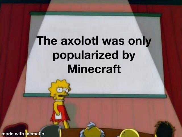 The axolotl was only popularized by Minecraft made with mematic