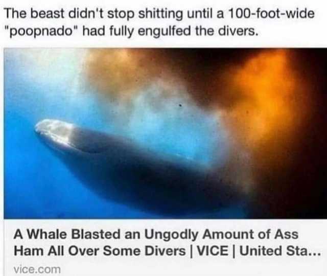 The beast didnt stop shitting until a 100-foot-wide poopnado had fully engulfed the divers. A Whale Blasted an Ungodly Amount of Ass Ham All Over Some Divers  VICE  United Sta.. Vice.com