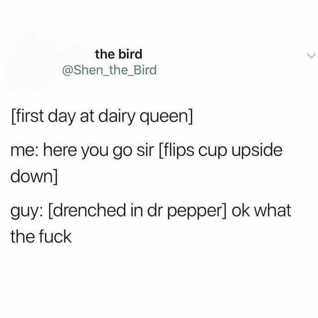 the bird @Shen_the_Bird first day at dairy queen] me here you go sir [flips cup upside down guy [drenched in dr pepper] ok what the fuck