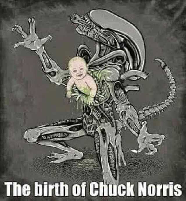 The birth of Chuck Norris