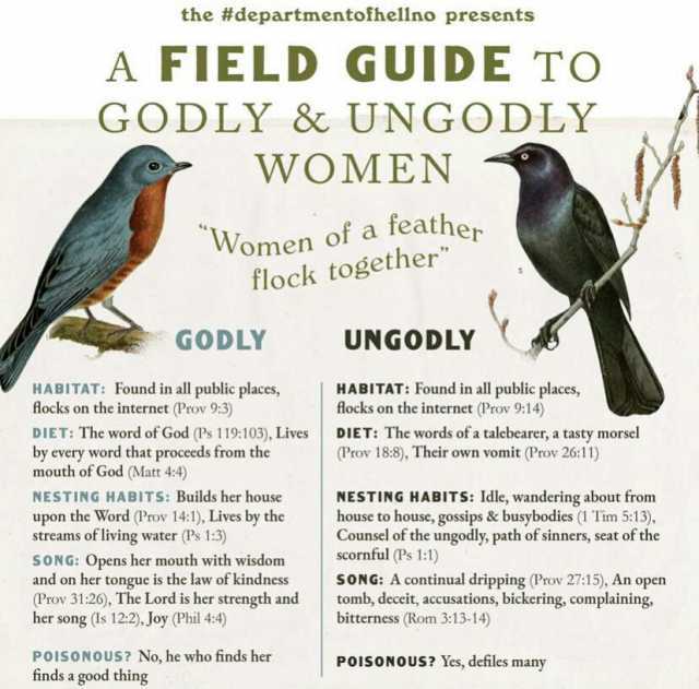 the #departmentofhellno presents A FIELD GUIDE TO GODLY & UNGODLY WOMEN Women of a feather Tlock together GODLY UNGODLY HABITAT Found in all public places focks on the internet (Prov 93) HABITAT Found in all public places focks on