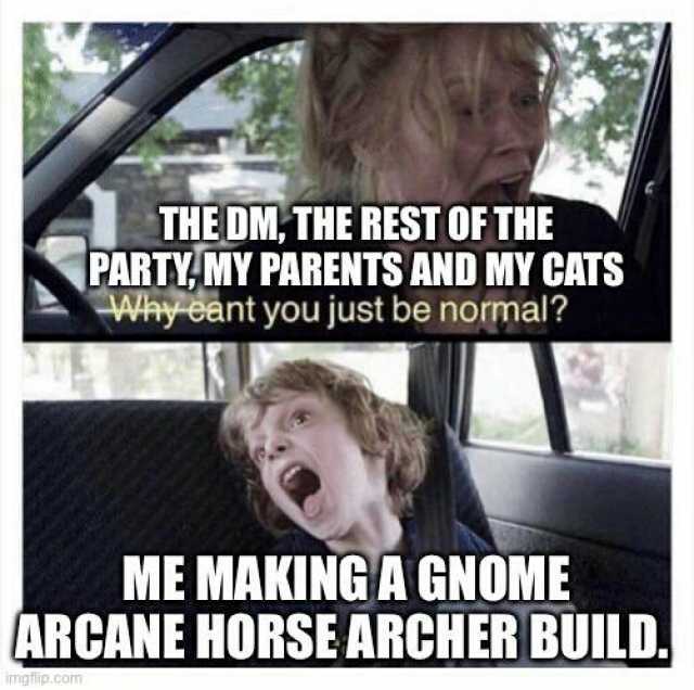 THE DM THE REST OF THE PARTY MY PARENTS AND MY CATS Why eant you just be normal ME MAKING A GNOME ARCANE HORSE ARCHER BUILD. imgtlip.com