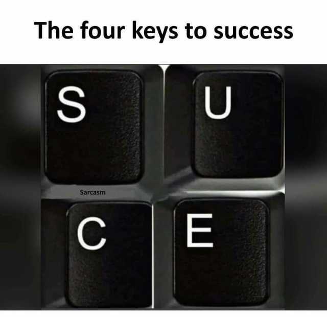 The four keys to success S U Sarcasm C E