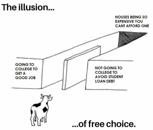 The illusion.. GOING TO cOLLEGE TO GET A GOOD JOB HOUSES BEING SO EXPENSIVE YOU CANT AFFORD ONE NOT GOING TO COLLEGE TO AVOID STUDENT LOAN DEBT ...of free choice.