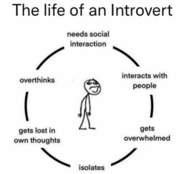The life of an Introvert needs social interaction interacts with overthinks people gets overwhelmed gets lost in own thoughts isolates