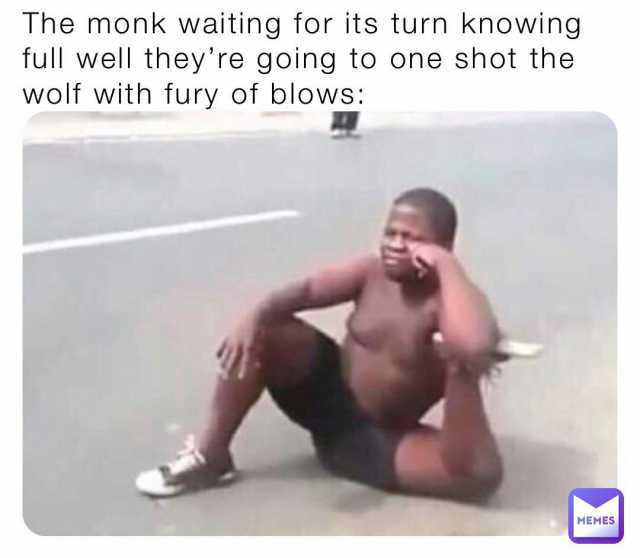 The monk waiting for its turn knowing full well theyre going to one shot the wolf with fury of blows MEMES