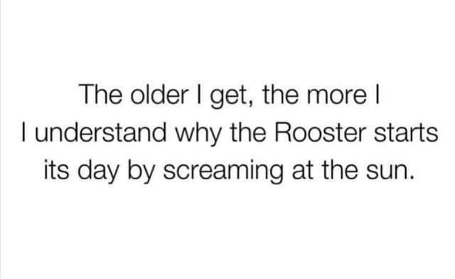 The olderI get the more lunderstand why the Rooster starts its day by screaming at the sun.