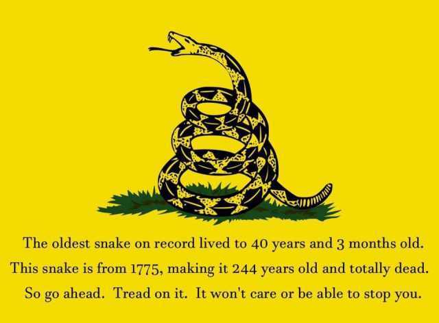 The oldest snake on record lived to 40 years and 3 months old. This snake is from 1775 making it 244 years old and totally dead. So go ahead. Tread on it. It wont care or be able to stop you. 