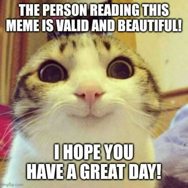 THE PERSON READINGTHIS MEME IS VALID AND BEAUTIFULI UHOPEYOU HAVEA GREAT DAY! imgflip.com