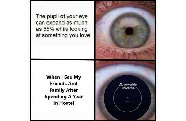 The pupil of your eye can expand as much as 55% while looking at something you love When I See My Friends And Observable Universe Family After Spending A Year In Hostel