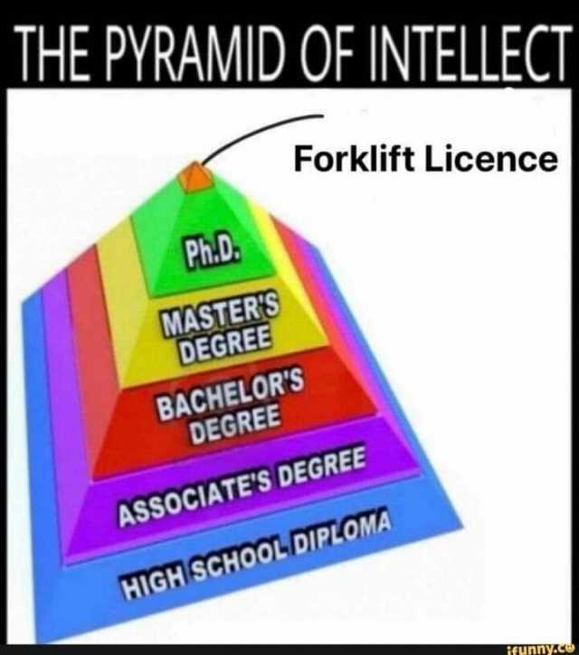 THE PYRAMID OF INTELLECT Forklift Licence PhD. MASTERS DEGREE BACHELORS DEGREE ASSOCIATES DEGREE HIGHI SCH0OL DIPLOMA ifunny.c