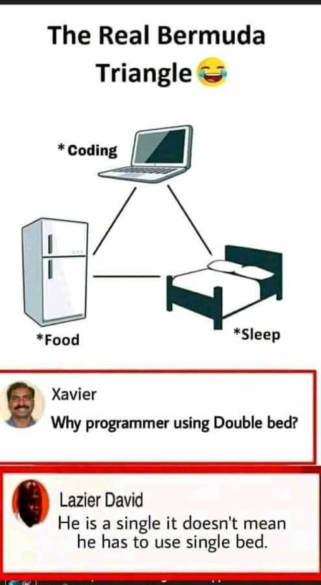 The Real Bermuda Triangle Coding *Sleep *Food Xavier Why programmer using Double bed Lazier David He is a single it doesnt mean he has to use single bed.