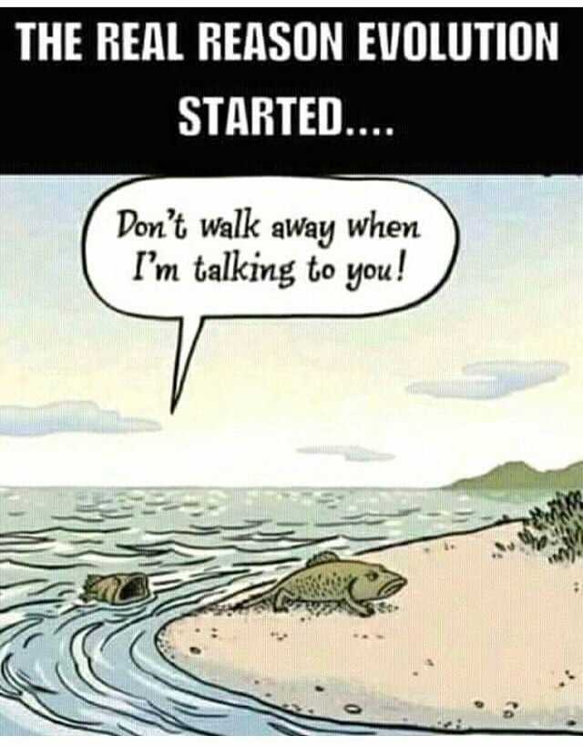 THE REAL REASON EVOLUTION STARTED... Dont walk aWay when Im talking to you!