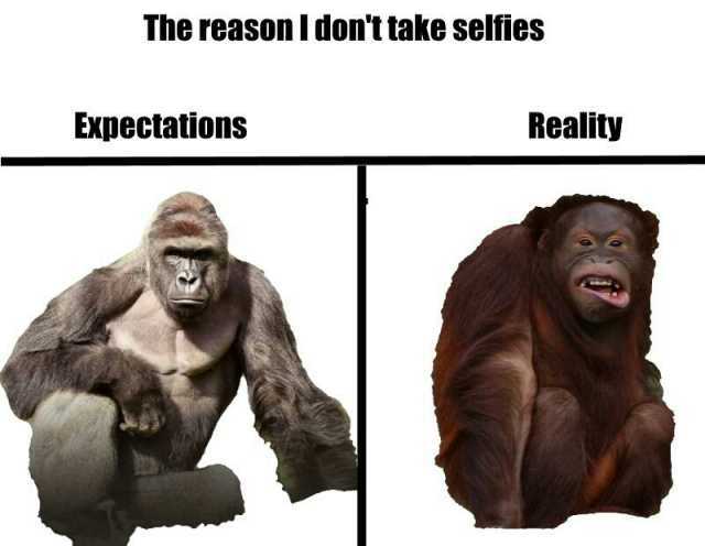 The reason I dont take selfies Expectations Reality