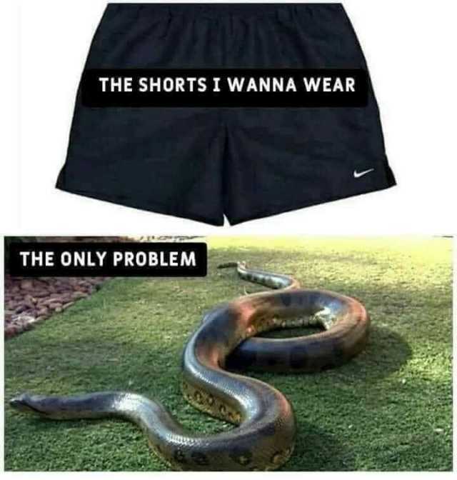 THE SHORTS I WANNA WEAR THE ONLY PROBLEM