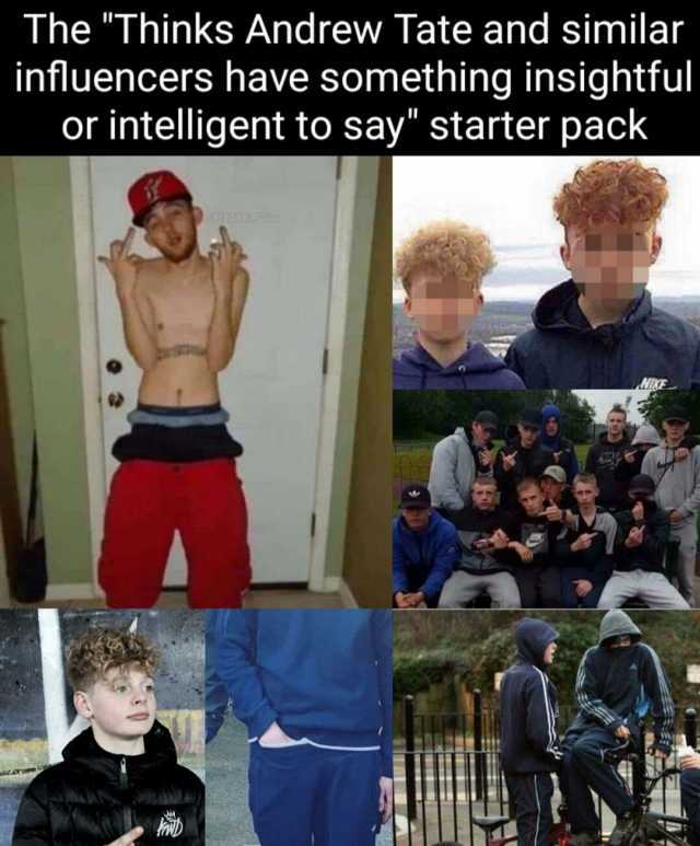 The Thinks Andrew Tate and similar influencers have something insightful or intelligent to say starter pack