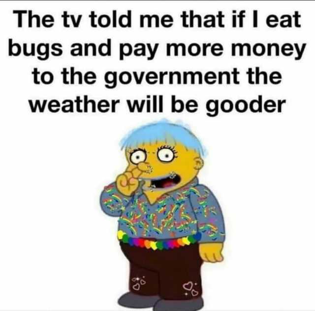 The tv told me that if I eat bugs and pay more money to the government the weather will be gooder