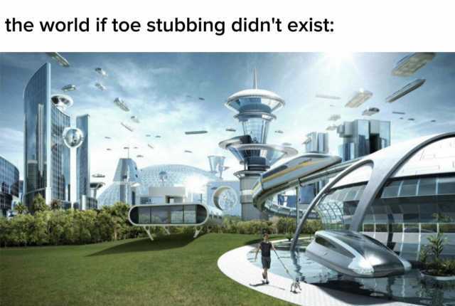the world if toe stubbing didnt exist