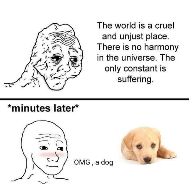 The world is a cruel and unjust place. There is no harmony in the universe. The only constant is suffering minutes later* OMGa dog