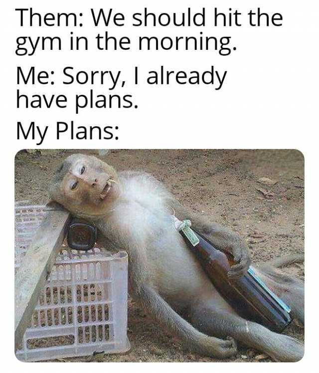 Them We should hit the gym in the morning. Me Sorry I already have plans. My Plans