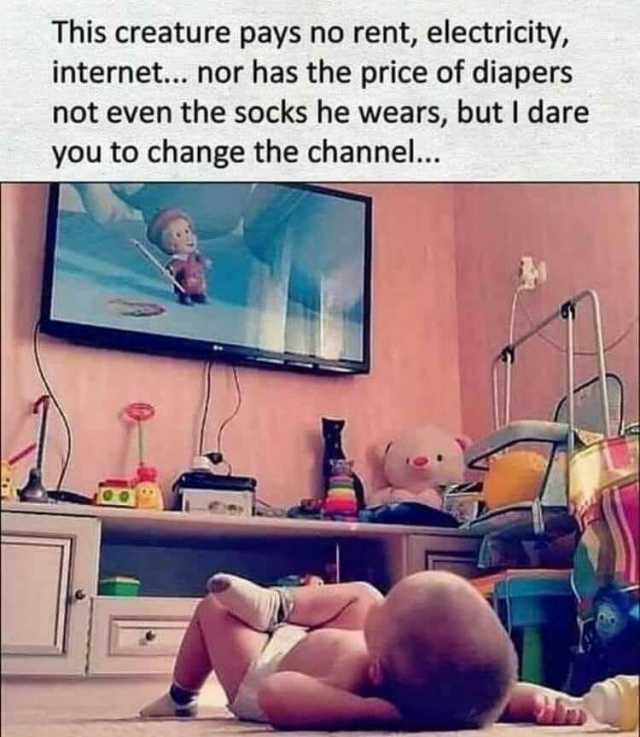This creature pays no rent electricity internet... nor has the price of diapers not even the socks he wears but I dare you to change the channel.