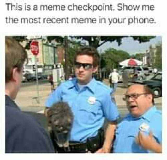 This is a meme checkpoint. Show me the most recent meme in your phone.