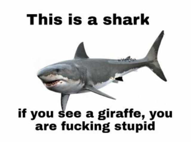 This is a shark u/sten fish if you see a giraffe you are fucking stupid