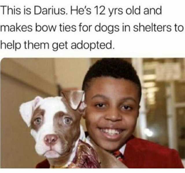 This is Darius. Hes 12 yrs old and makes bow ties for dogs in shelters to help them get adopted.