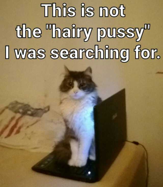 This is not the hairy puSSy was searching for.