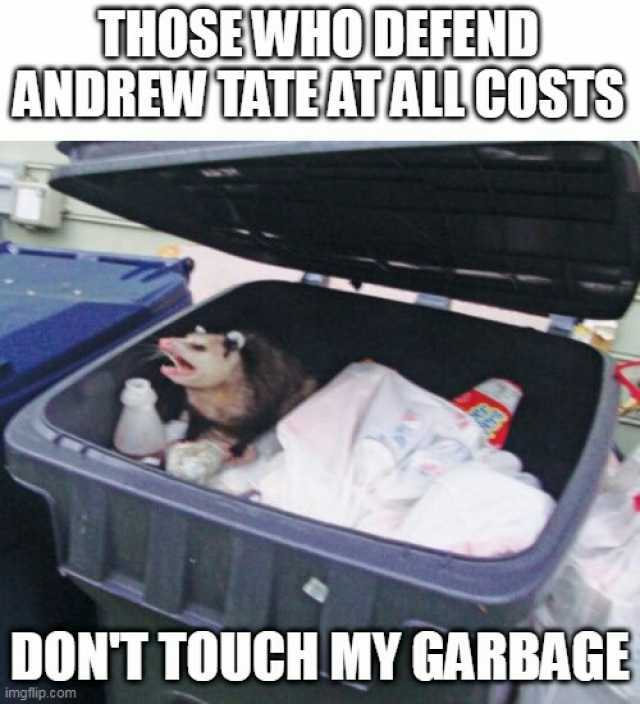 THOSEWHODEFEND ANDREWTATEATALCI0STS DONT TOUCH MY GARBAGE imgflip.com