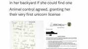 A little girl wrote to LA county officials asking for permission to keepa unicorn in her backyard if she could find one Animal control agreed granting her their very first unicorn license Dear LA Gonty I Would like your approval i