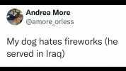 Andrea More @amore_orless My dog hates fireworks (he served in Iraq)