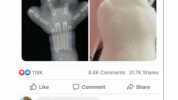 @AliTriox Heres a paw under an X-Ray O0 118K 8.4K Comments 31.7K Shares Like Comment Share Reece Swann prefer a pugs MRI scan