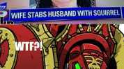 ay Wis WIFE STABS HUSBAND WITH SQUIRREL WTFP Jesus Chirist lady!