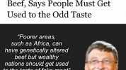 Bill Gates Wants Rich Nations to Move to 100% Synthetic Beef Says People Must Get Used to the Odd Taste Poorer areas such as Africa can have genetically altered beef but wealthy nations should get used to the taste of fake meat Bi