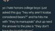 claire @clairedaniellem yo i hate honors college boys i just asked this guy hey why arent koalas considered bears and he hits me with theyre marsupials shut up nerd the answer to the joke is they dont have the koalafications 7/21/