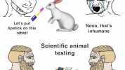 Commercial animal testing Lets put lipstick on this Nooo thats inhumane rabbit Scientific animal testing I bet this rat will He prefers drive a little car for a Cheerio Cocainee