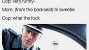 Cop anyone else in the vehicle Me yeah your mom Cop very funny- Mom (from the backseat) hi sweetie Cop what the fuck TheFunnylntrovert